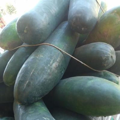 黃浦區特色貨運代理價錢黃浦區特色貨運代理價錢表