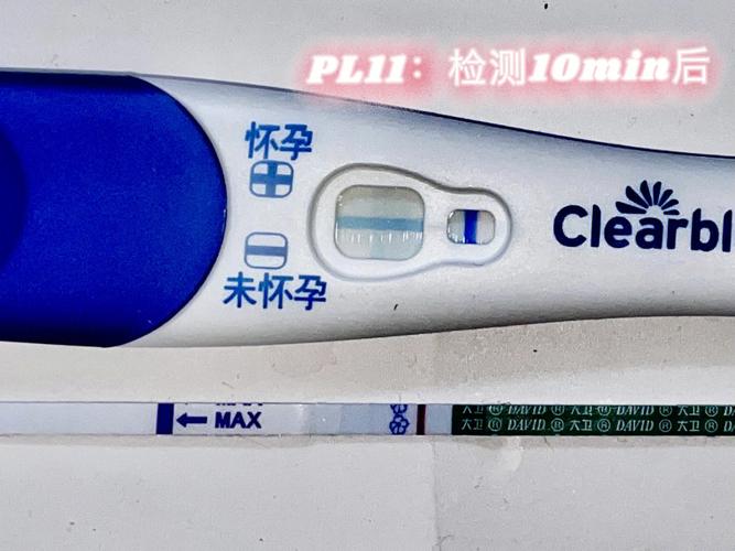 貨運bl和pl什么意思貨運hbl是什么意思