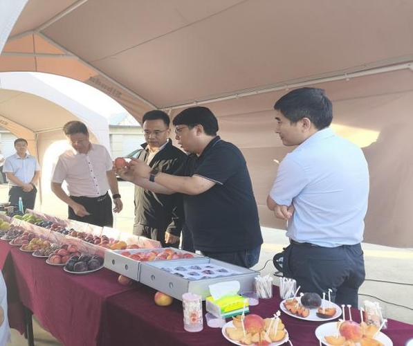 遼寧現代貨運代理日常工作遼寧現代貨運代理日常工作怎么樣