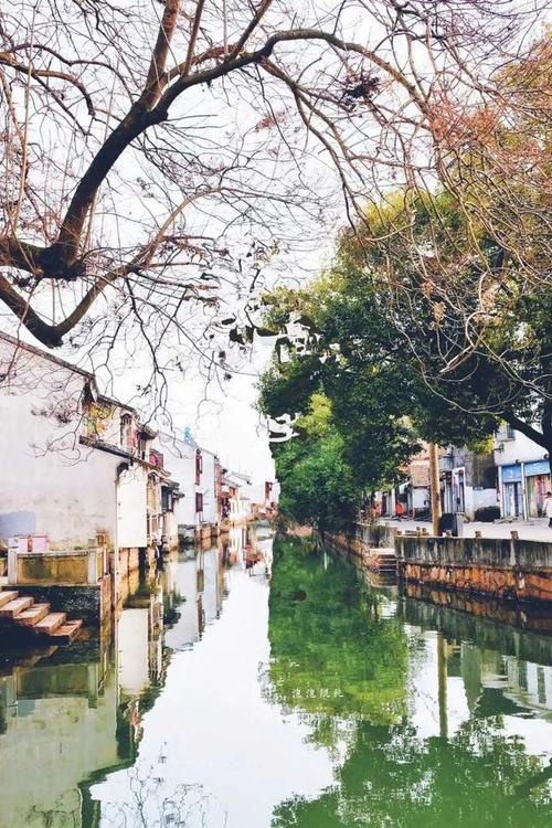 昆山市民貨運申報怎么查詢昆山市貨運資格證在哪里辦理