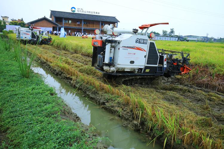 上海到崇州貨運服務哪家好崇州到重慶物流有木有