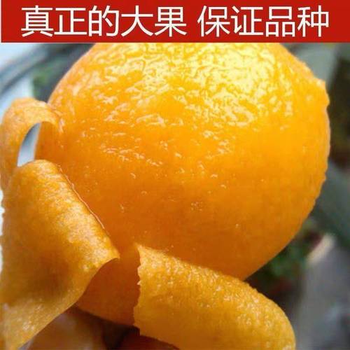 臨沂到平邑順風貨運價格臨沂到平邑順風貨運價格表