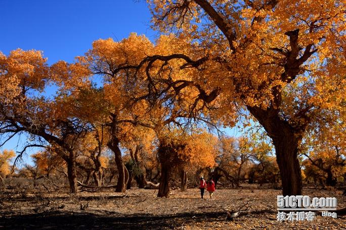 遠古倉儲貨運遠古庫存:d
