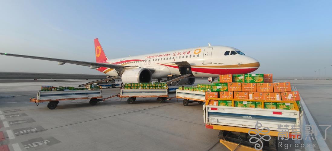 貨運(yùn)空鏡貨運(yùn)空運(yùn)