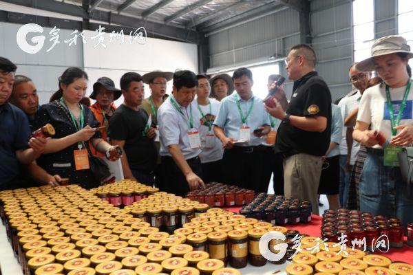 藍貴貨運貴州藍貴