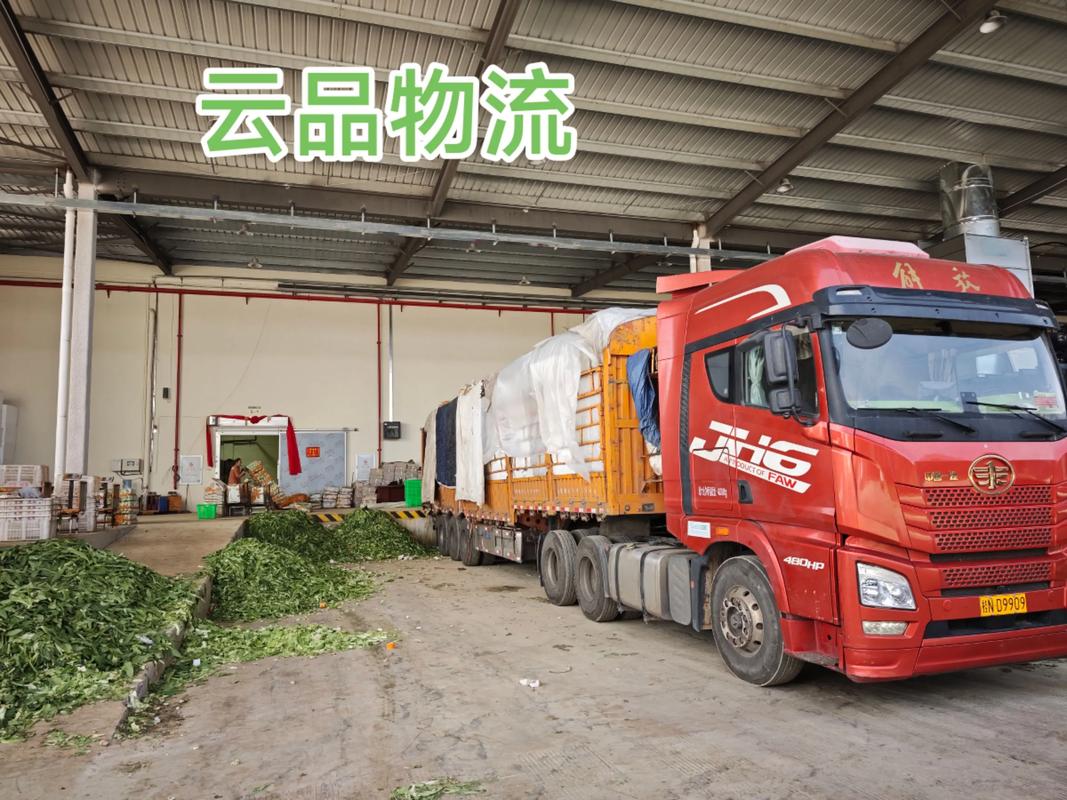 貨運(yùn)販賣蔬菜貨運(yùn)販賣蔬菜怎么處罰