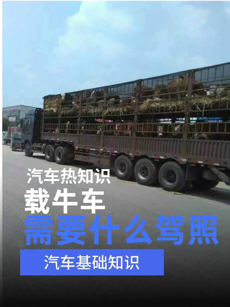 家用貨運(yùn)牛車家用載貨車