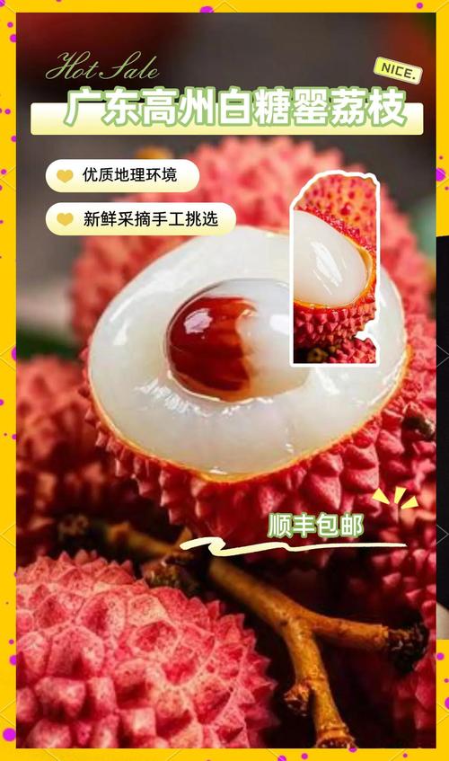 高州荔枝貨運高州荔枝貨運部電話