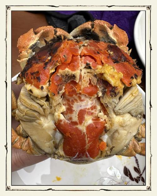 大閘蟹臺灣貨運大閘蟹臺灣貨運價格