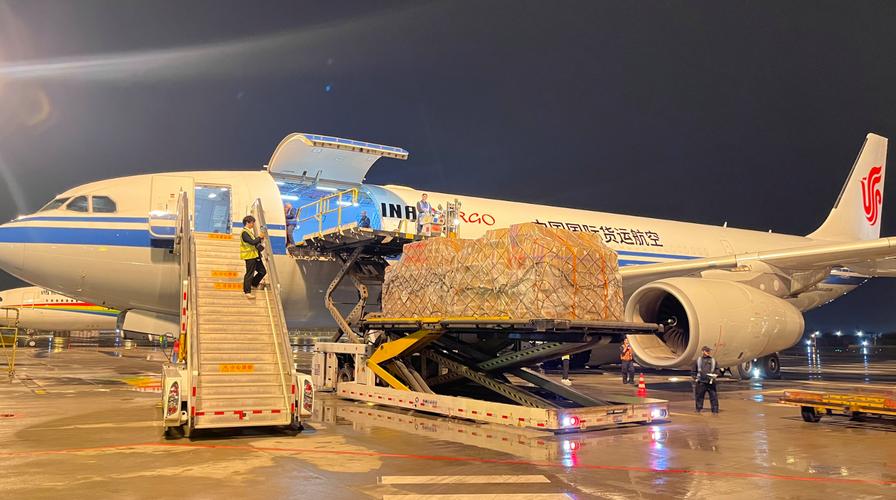 大航空貨運大航國際貨運有限公司