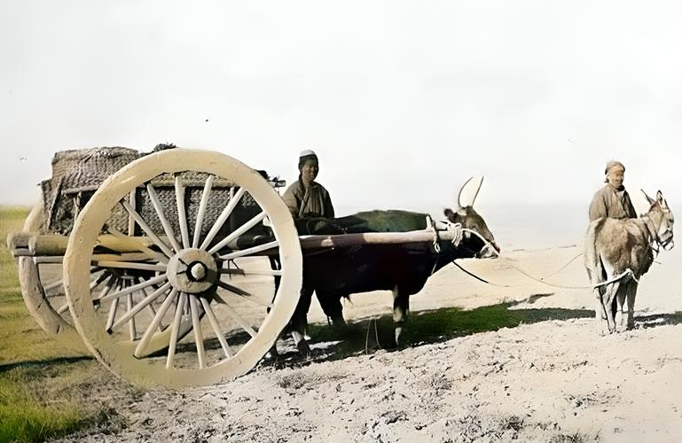 老牛大車貨運(yùn)老牛運(yùn)輸有限公司