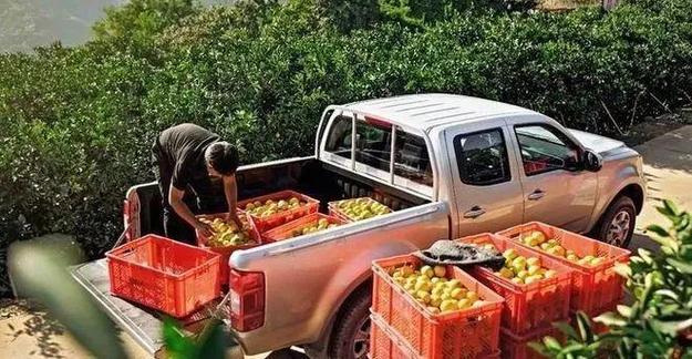 農村貨運部農村貨運物流