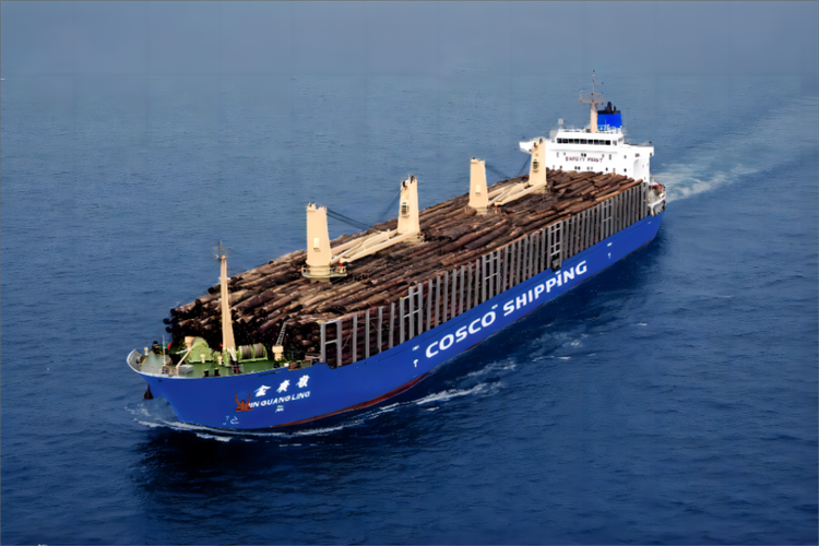 貨運船舶有貨運船舶有哪些種類