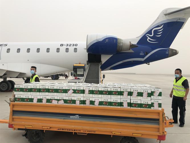 若羌貨運部若羌貨運部電話