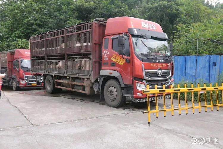 鄉村貨運人鄉村運輸