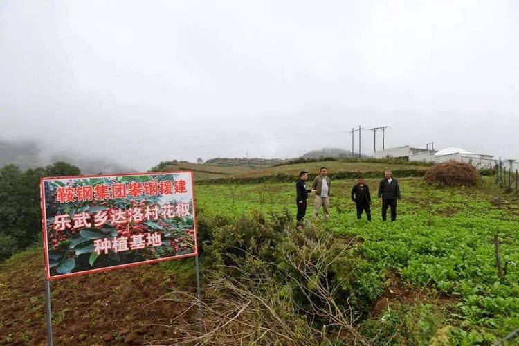 喜德西昌貨運喜德西昌貨運公司電話